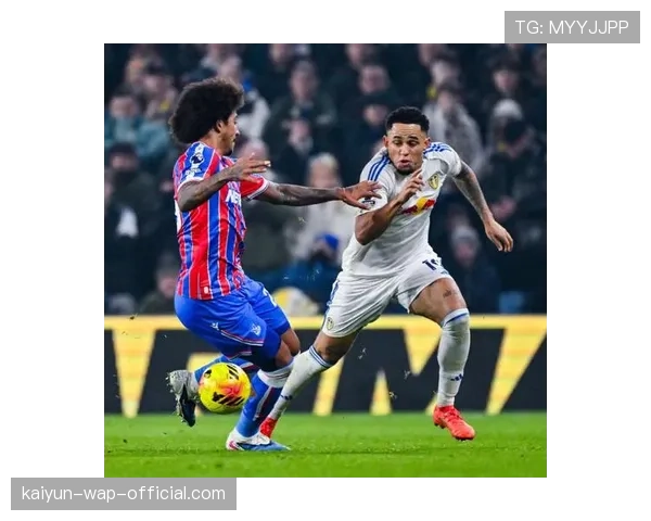 桑德兰升班马表现惊艳 46分已提前完成保级任务